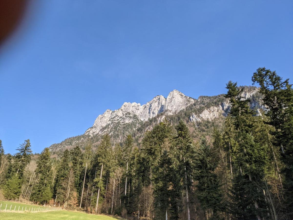 埃布斯镇Neuschwendterhof公寓 外观 照片